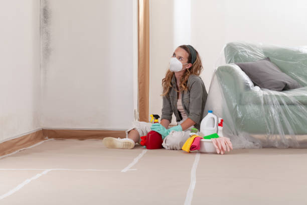 Reliable Mold Inspection And Testing contractor in Nutley, NJ by Mold Remediation HQ